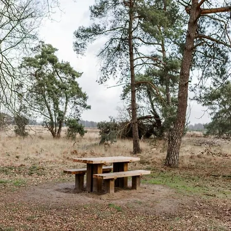 In Leenderbos With Bbq & Garden Apartment Leende