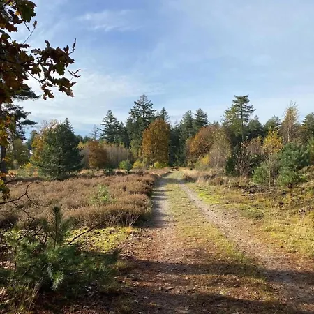 Apartment In Leenderbos With Bbq & Garden Leende