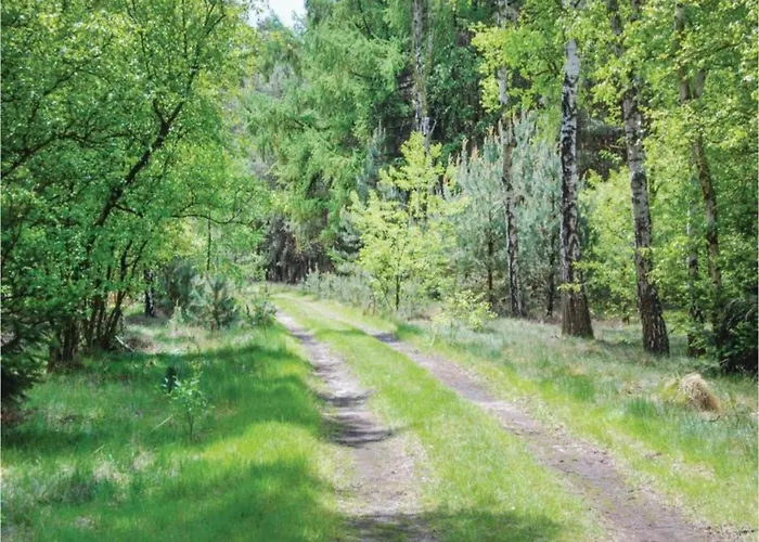 Appartement In Leenderbos With Bbq & Garden Leende