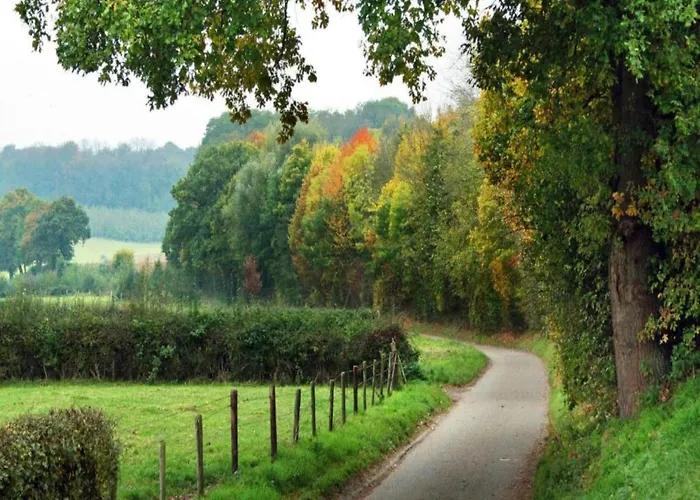 Appartement In Leenderbos With Bbq & Garden