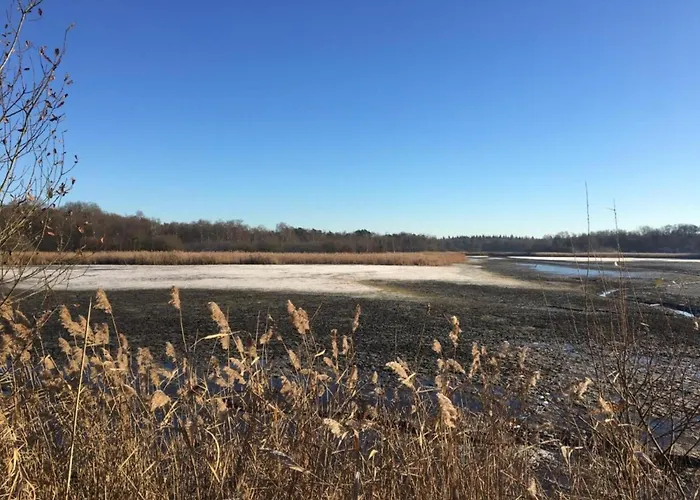 In Leenderbos With Bbq & Garden Appartement *