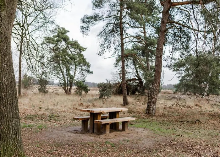 In Leenderbos With Bbq & Garden Appartement Leende