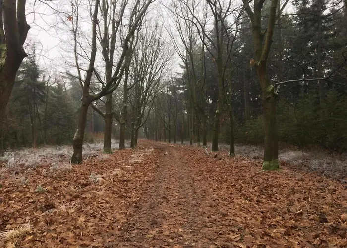 In Leenderbos With Bbq & Garden *