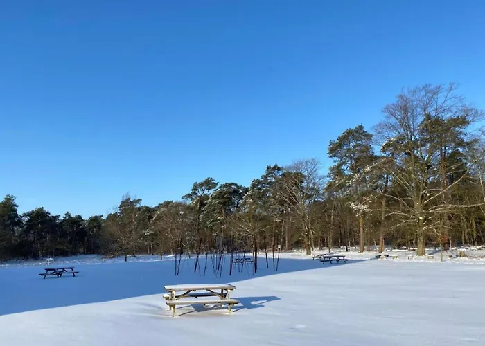 In Leenderbos With Bbq & Garden * Leende