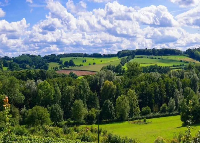 In Leenderbos With Bbq & Garden