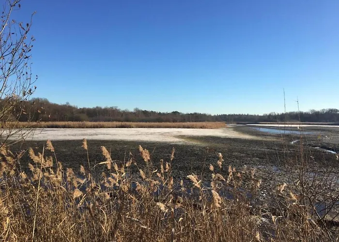 Appartement In Leenderbos With Bbq & Garden