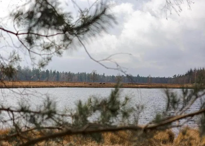 In Leenderbos With Bbq & Garden Appartement *