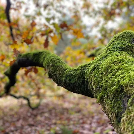 In Leenderbos With Bbq & Garden Apartament