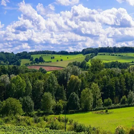 In Leenderbos With Bbq & Garden