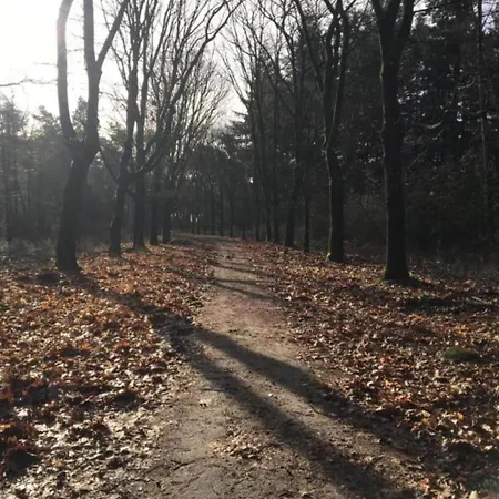 In Leenderbos With Bbq & Garden Apartament Leende